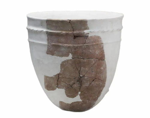 預熱3 王仁湘 中華大地上的新石器時代文化遺址