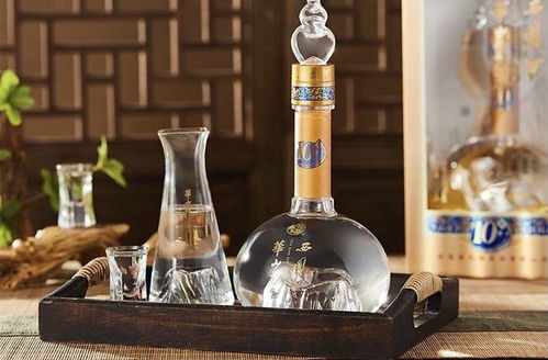 酒精飲料與酒駕 勾兌飲料算不算酒駕？